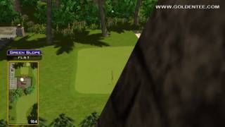 preview picture of video 'Golden Tee Great Shot on Indigo Mound!'