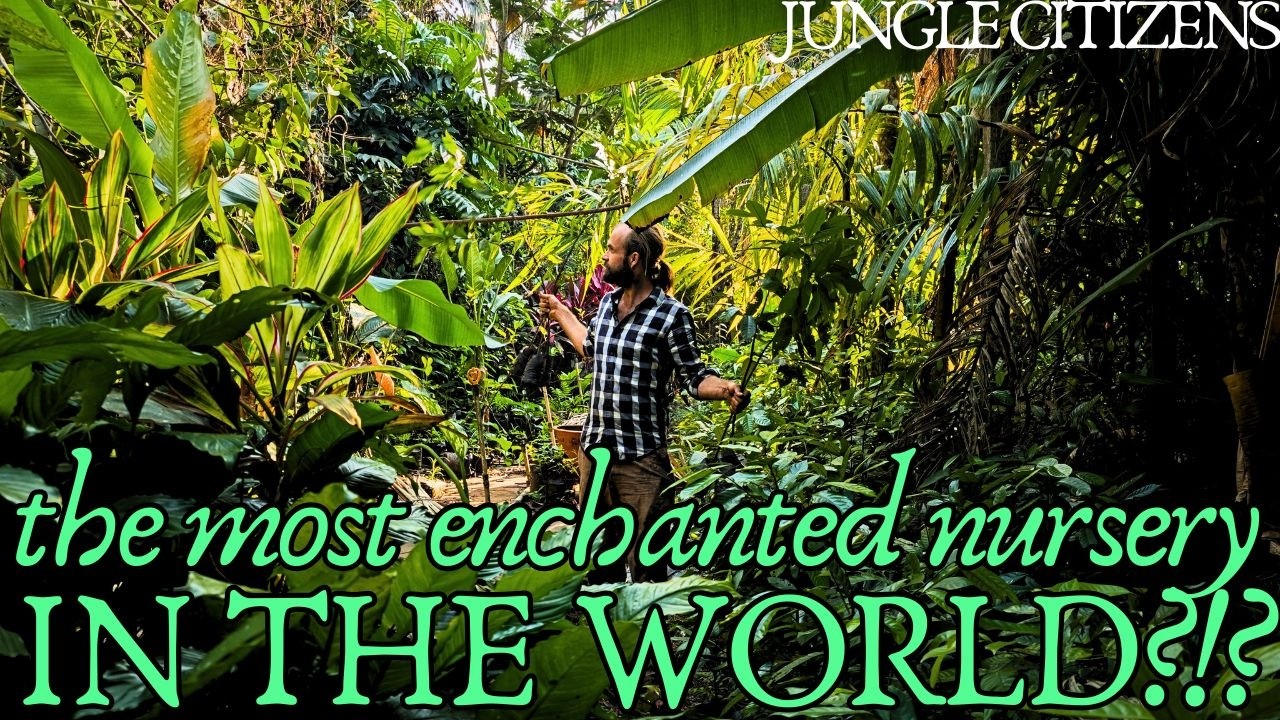 India tropical plant nursery tour - Come plant shopping with us to this INCREDIBLE secret nursery!