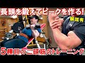 【筋トレ】上腕二頭筋の長頭から鍛えてピークを作る!POF法で鍛える5種目のトレーニング【解説有】