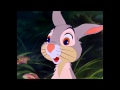 Thumper And Miss Bunny Love