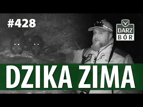 Darz Bór odc. 428 „Dzika zima”