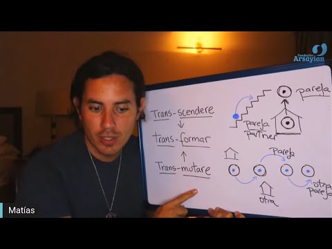 Day 330 TRANSMUTATION - Matais De Stefano - English Edit