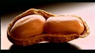 Download lagu Kacang Garuda Feb 1997 - Jeremy Thomas Muda mp3