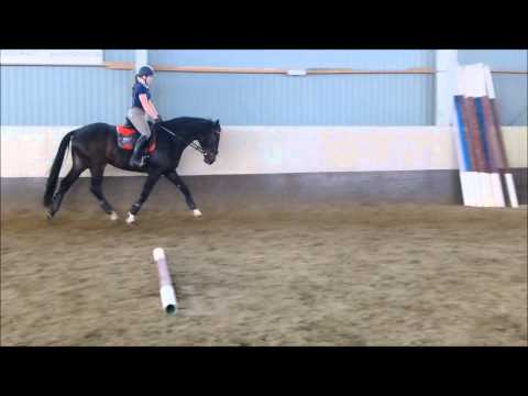 Carpe Diem 4 år Våren 2013