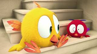 Chicky's Journey | Where's Chicky | Cartoon Collection in English for Kids | New episodes