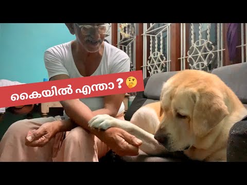 Toby’s Sweetest Reaction to Dhanu & Achan 🐶❤️ | Dad Feeding Toby Cute Moments