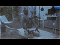 Kevin Gates Waddup Homie Pt 2 Official Audio
