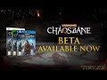 Gameplay video of Warhammer: Chaosbane  Playstation
