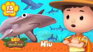 Download lagu 🦈 Ini Hari Kesadaran Hiu! | Leo Si Penjaga Alam | Kartun Edukasi Anak mp3