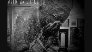 The Rosebush And The Briar- John B. Jones