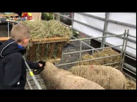 Bunte Meile in Leck 2018