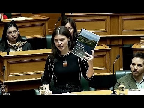 Luxon Teaches Climate Economics To Swarbrick