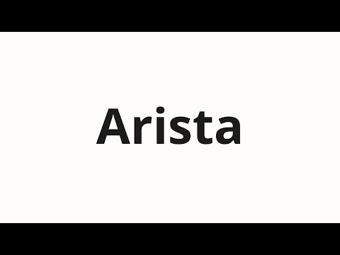 How to pronounce Arista