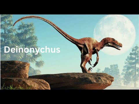 A Detailed Overview of the Dinosaurs Known as Deinonychus