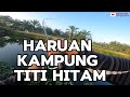 Mancing Haruan Di Kampung Titi Hitam Sungai Bakap