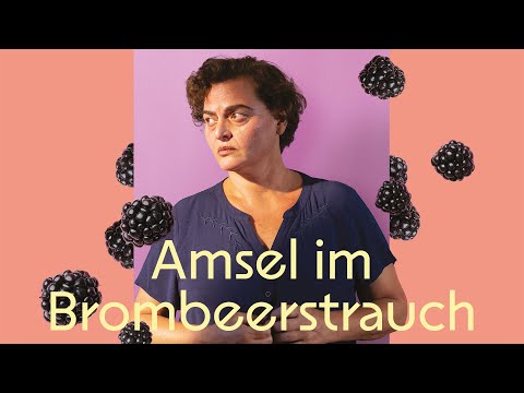 Amsel im Brombeerstrauch - offizieller deutscher Trailer zum Film