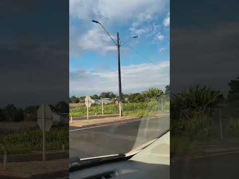 Mais uma carona comigo de Planalto até Pérola do Oeste no Paraná ❤️❤️❤️