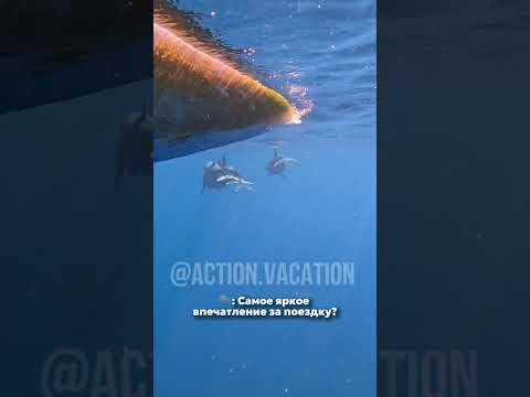 Реальный отзыв