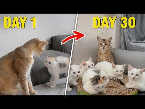 YouTube 썸네일