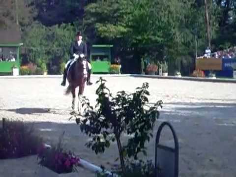 Bundeschampionate 2011 - "Callaho's Benicio" v. Belissimo x Velten Third - Finale 6j. Dressurpferde