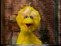Sesame Street Monty Joins The Birdketeers
