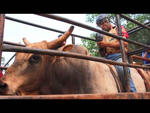TREINO na CIA DE RODEIO A.J 2023