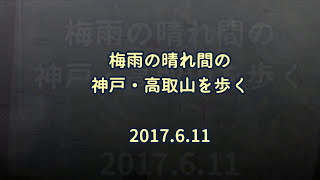 2017.6.11 梅雨の晴れ間に歩くみち:神戸・高取山