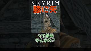 【スカイリム】「膝に矢」って何？  #スカイリム #skyrim