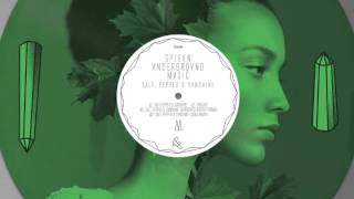 S.U.M. - Salt, Pepper & Sunshine (Original Mix)