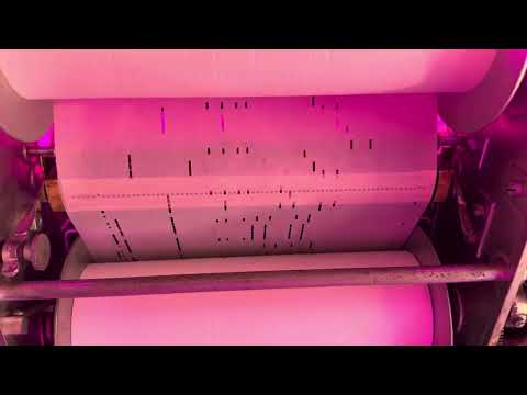 Wurlitzer C Orchestrion Plays "Don't Hang Your Dreams On A Rainbow"