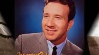 Mr Marty Robbins Gunfighter Ballads