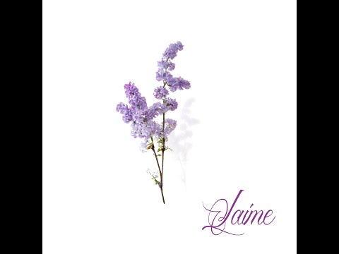 Laime - Champ des Lilas