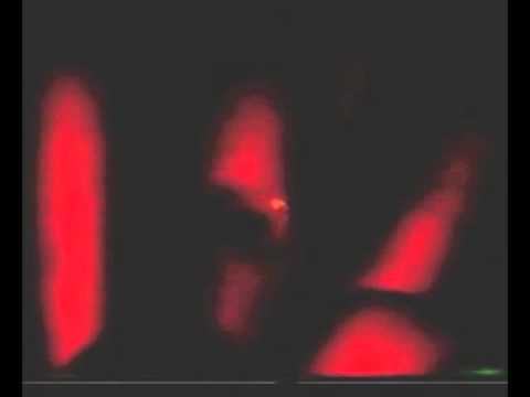 eugen iustin-refacerea