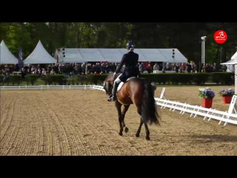 Osado 04 - CDI3° Saumur Kur to Music