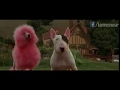 BULL TERRIER CON LAS BENDICIONES Película Babe El Cerdito En La Ciudad