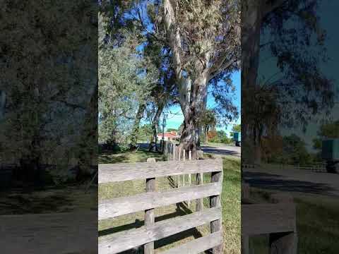 Comuna Pastor Sosa. Dpto. Parana. Entre Rios. Parte 01