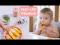 First Week Of Baby Led Weaning STARTING SOLIDS
