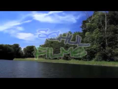 Schulfilm Ökosystem See   Nachhilfe Download