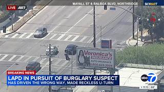 Motorcyclist tries to stop LA police chase suspect