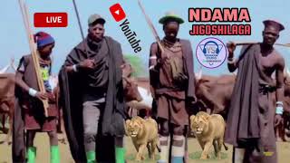Download lagu NDAMA JIGOSHILAGA UJUMBE WA HALAWA Audio By Mbasha studio msambazaji yohana studio mp3 Download lagu NDAMA JIGOSHILAGA UJUMBE WA HALAWA Audio By Mbasha studio msambazaji yohana studio mp3