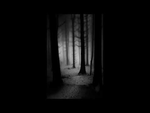 Akiëm The Dark forest