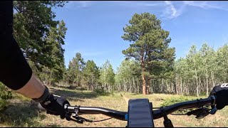 Chickadee - short easy blue flow - Mud Lake - Nederland - Colorado
