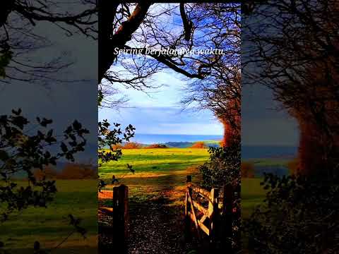 Jangan Umb4r N4f$vmu #trending #videoshort #sajak #sajakcinta