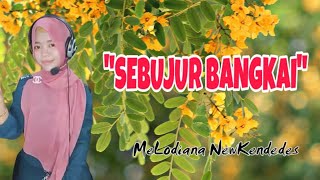 Download lagu 'SEBUJUR BANGKAI' (Melodiana Newkendedes) mp3