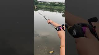 The perfect fishing rod for fishing / Fishing001