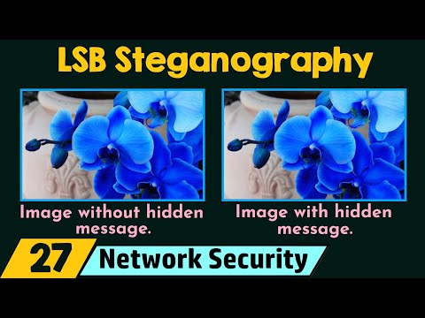 LSB Steganography Demo