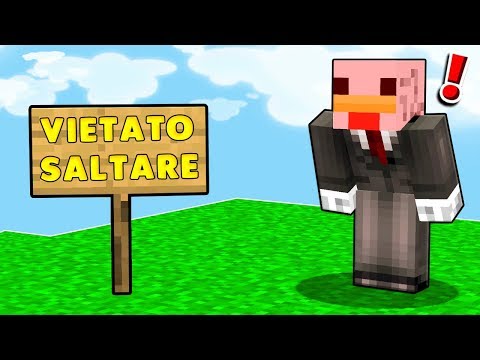 24 ORE SENZA SALTARE SU MINECRAFT!