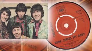 The Tremeloes  -  Here Comes My Baby