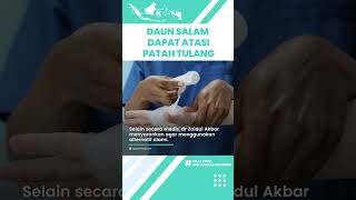 Fakta Daun Salam Dapat Atasi Patah Tulang akibat Kecelakaan, Begini Penjelasan dr Zaidul Akbar