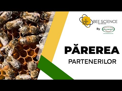 Părerea partenerilor:  Nicanor Negru (Regina Naturii)